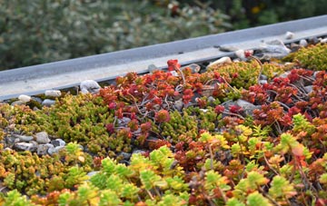 the cost of Didworthy green roof installation