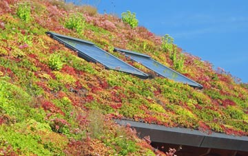 Didworthy living roof systems